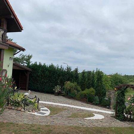 Kanarek Ustka Dış mekan fotoğraf